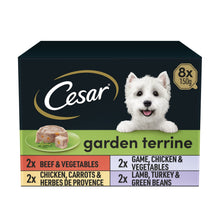 Cesar Garden Terrine Wet Dog Food Tray Mixed in Loaf 8 x 150g