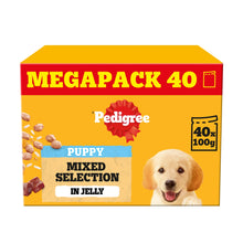 PEDIGREE Junior Puppy Wet Dog Food Mixed Selection in Jelly 40 x 100g Pouch