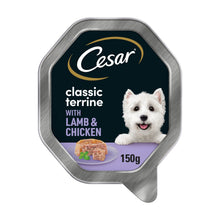 Cesar Classics Terrine Wet Dog Food Tray Lamb & Chicken in Jelly 150g