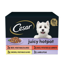 Cesar ® Juicy Hotpot Adult Wet Dog Food Trays Mixed in Gravy 8 x 150g