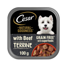 Cesar Natural Goodness Grain Free Adult Wet Dog Food Beef Terrine Tray 100g