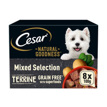 Cesar NATURAL GOODNESS™ Grain Free Adult Wet Dog Food Mix Terrine 8 x 100g Tray