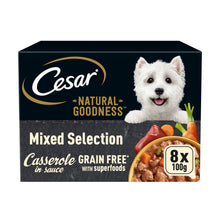 Cesar NATURAL GOODNESS Grain Free Adult Wet Dog Food Mix Casserole 8 x 100g Tray