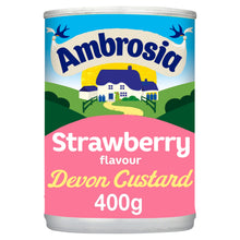 Ambrosia Strawberry Custard Dessert Can 400g