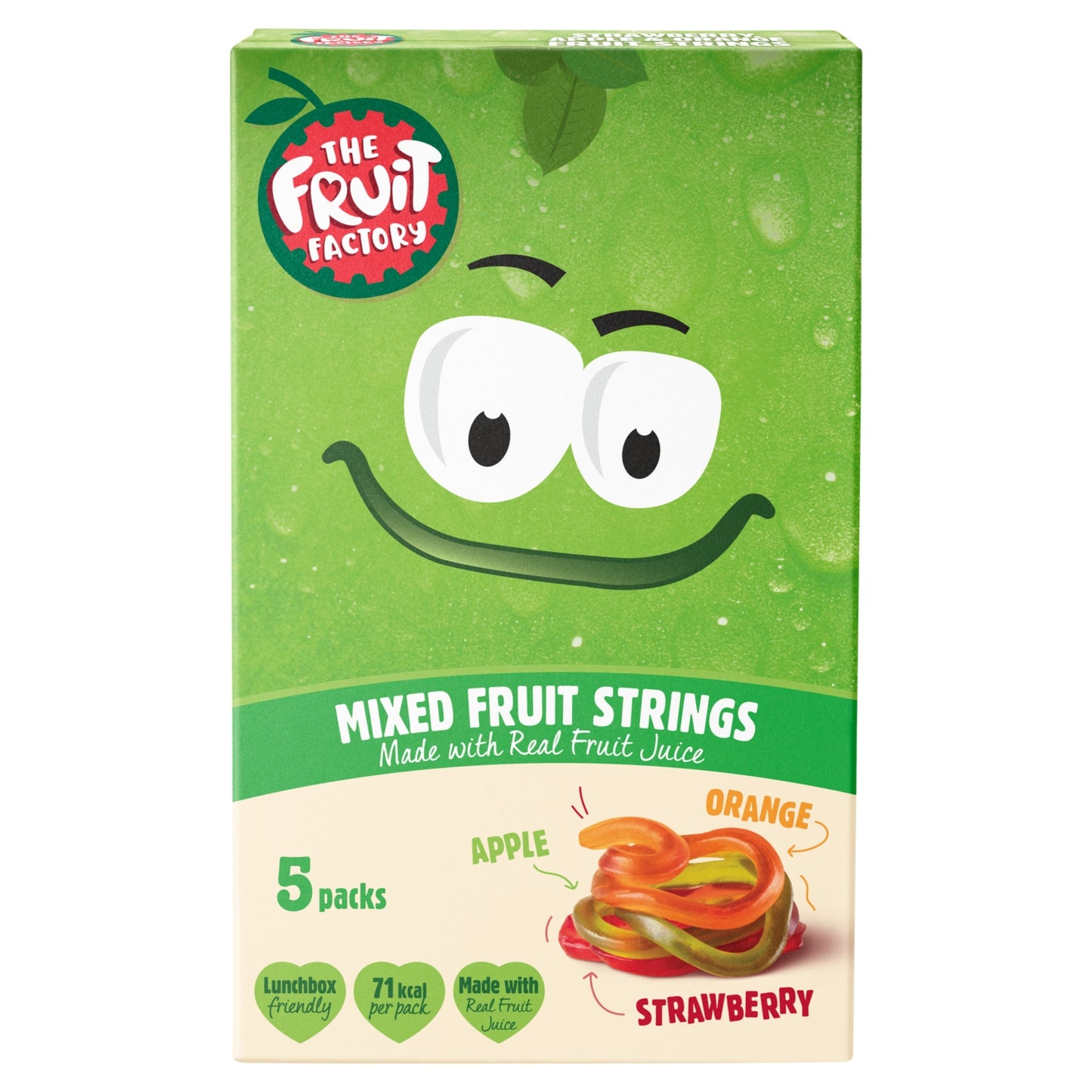 The Fruit Factory Mixed Fruit Strings 5 x 20g (100g)