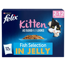 Felix As Good As it Looks Kitten Fish in Jelly Wet Cat Food 12x100g