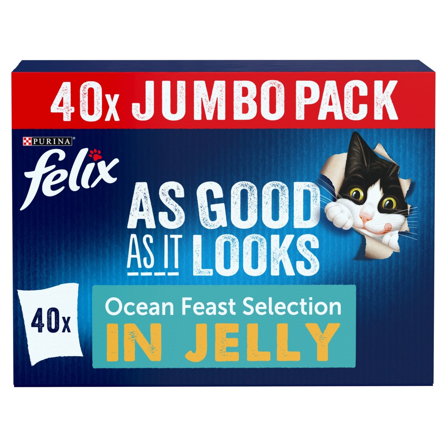 Felix As Good As it Looks Ocean Feasts Wet Cat Food 40x85g