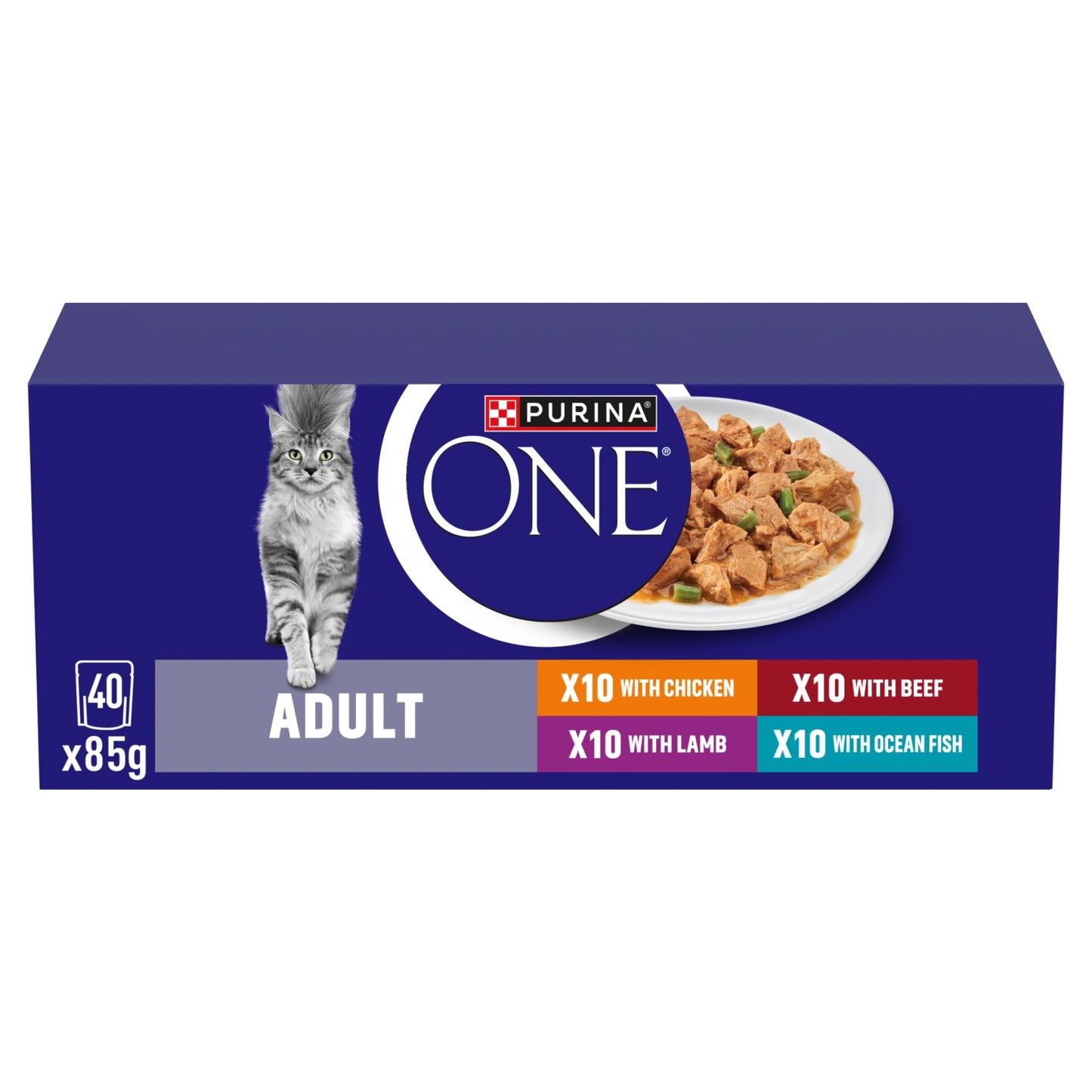 Purina PURINA ONE Mini Fillets Mixed Selection in Gravy Wet Cat Food 40x85g