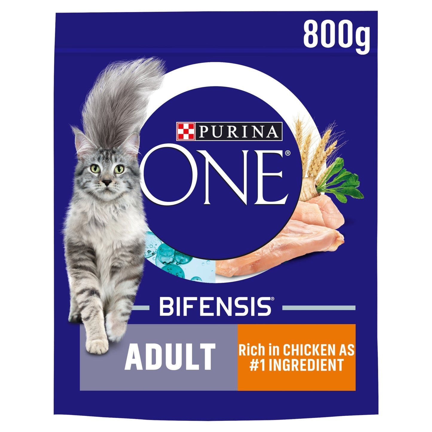 Purina ONE Chicken Dry Cat Food 800g