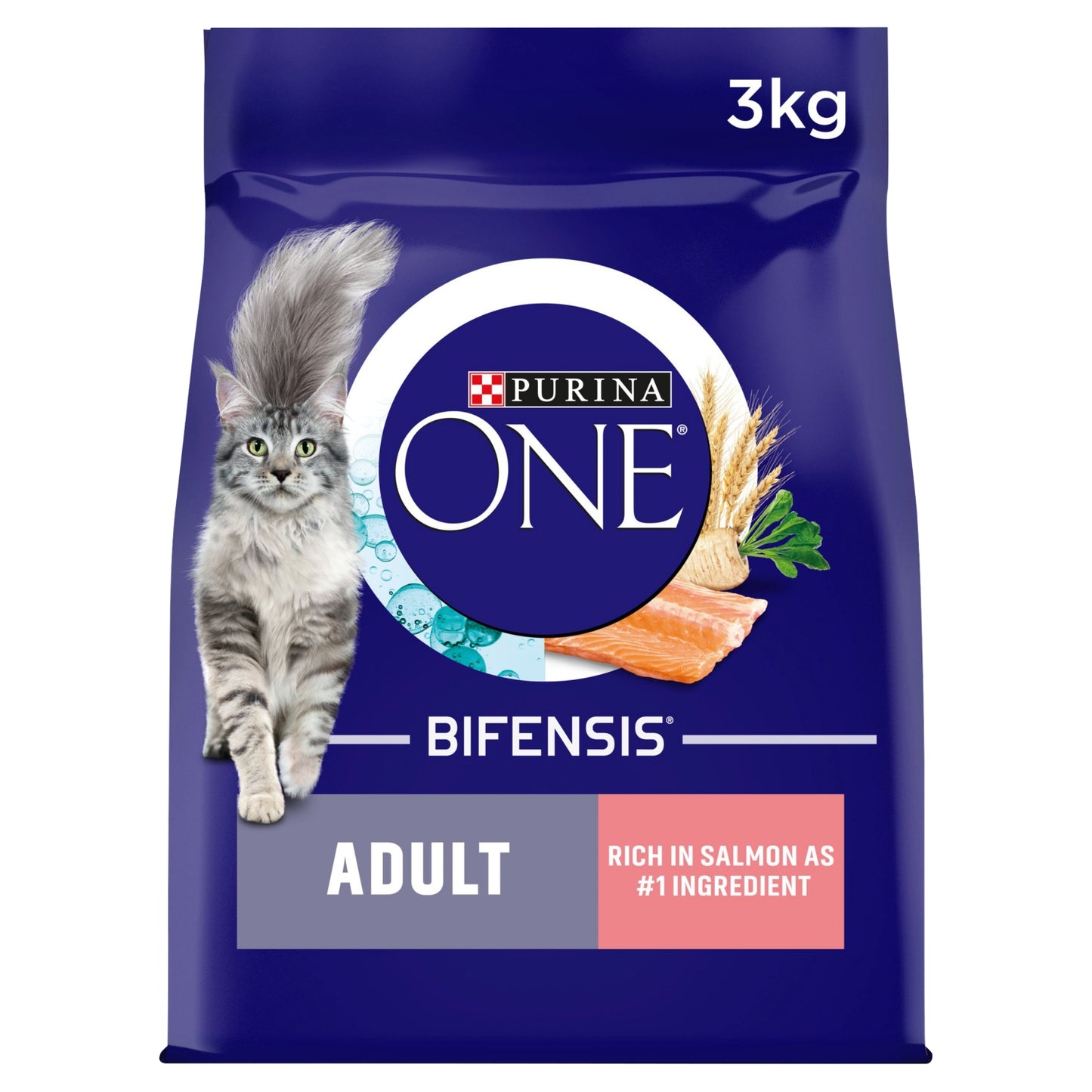 Purina ONE Salmon Dry Cat Food 3kg