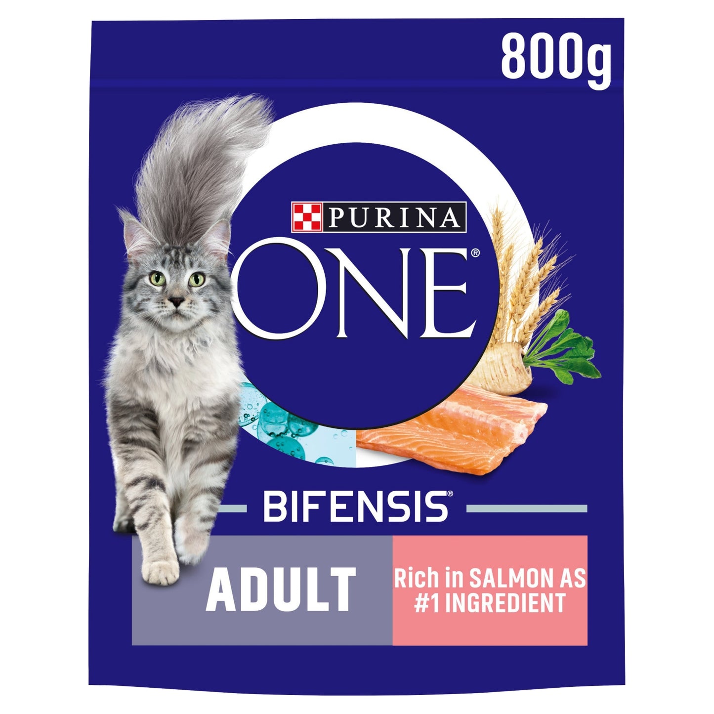 Purina ONE Salmon Dry Cat Food 800g