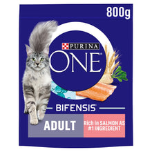 Purina ONE Salmon Dry Cat Food 800g