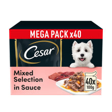 Cesar Selection Adult Wet Dog Food Mixed Selection in Sauce 40 x 100g Pouch