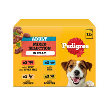Pedigree ® Adult Wet Dog Food Mixed Selection in Jelly 12 x 100g Pouch