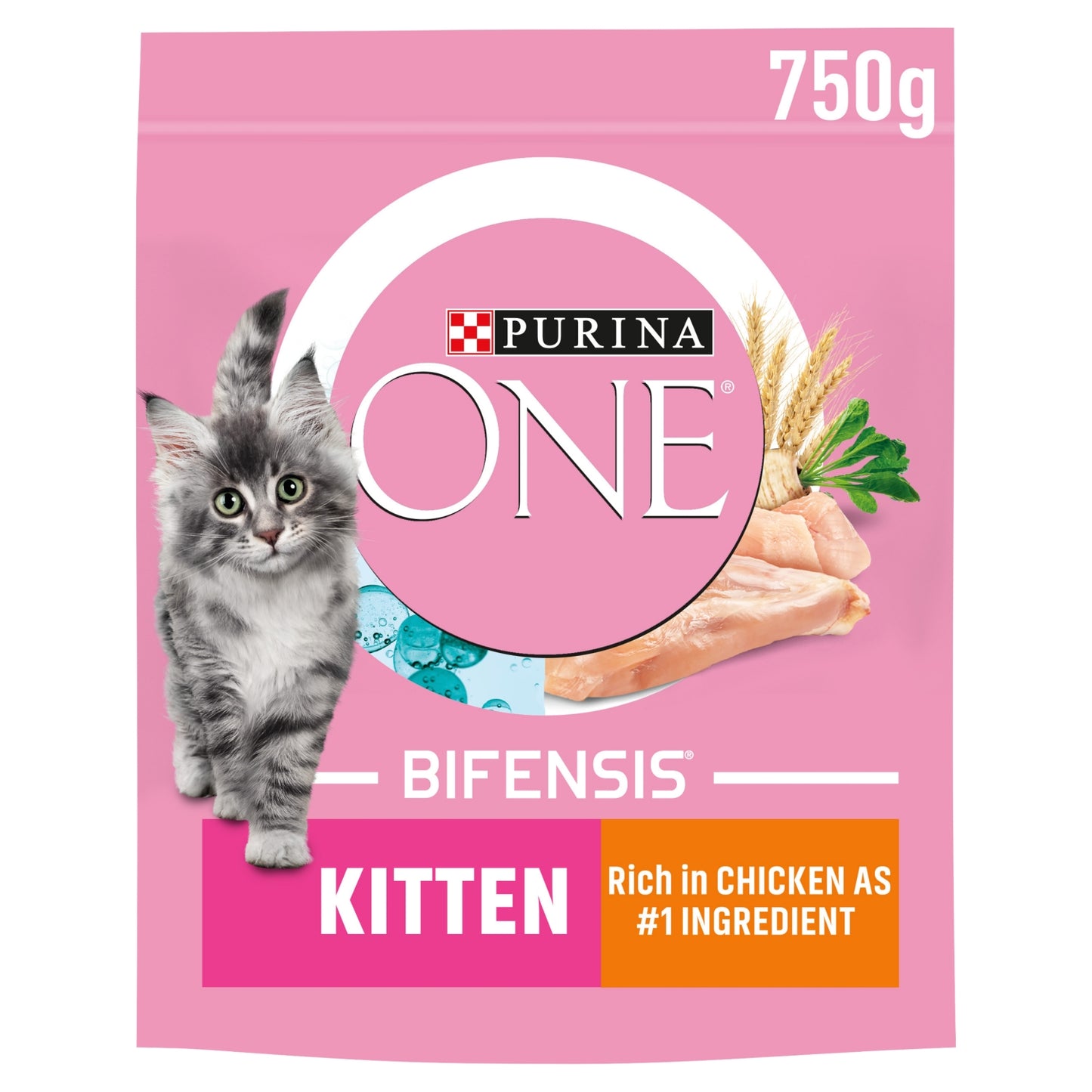 Purina ONE Kitten Chicken Dry Cat Food 750g