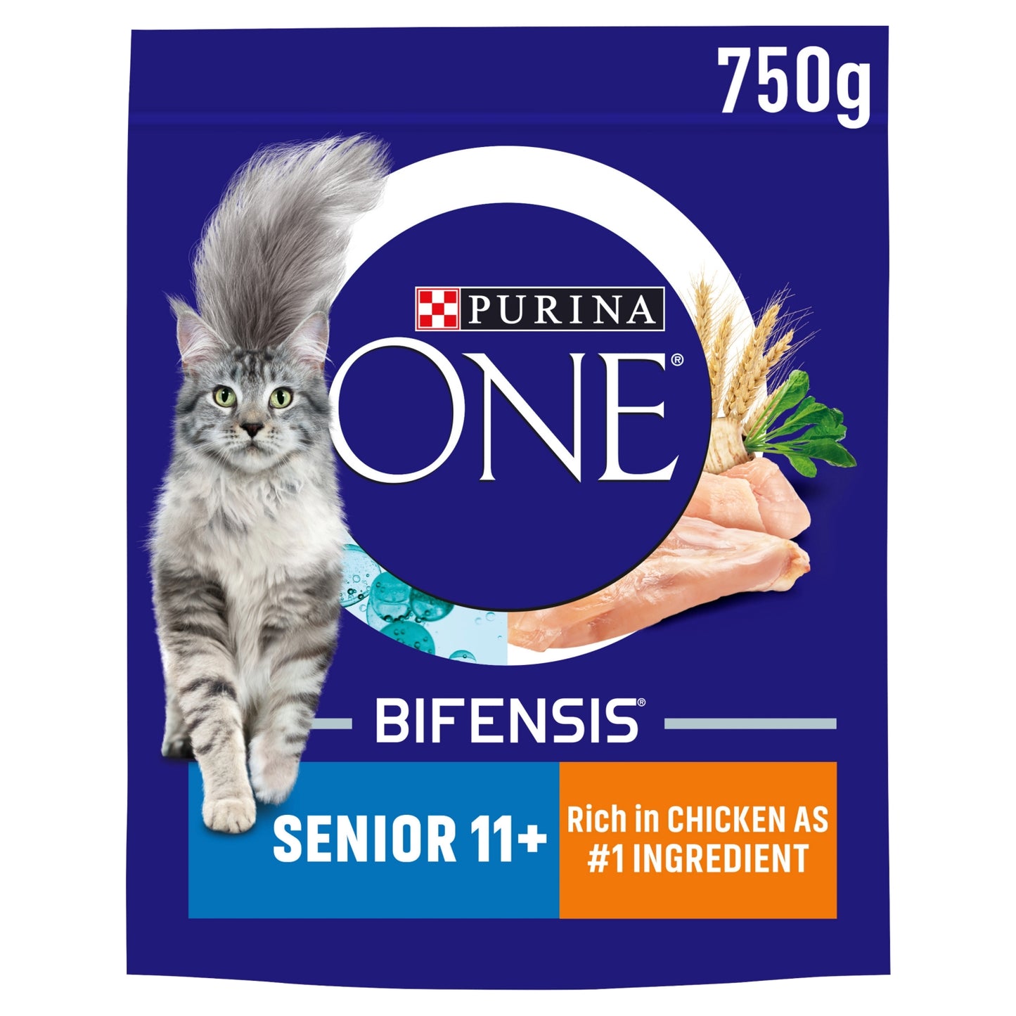 Purina ONE Senior 11+ Chicken Dry Cat Food 750g