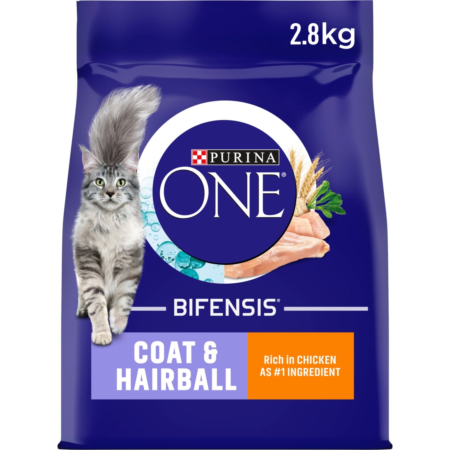 Purina ONE Coat and Hairball Chicken Dry Cat Food 2.8kg