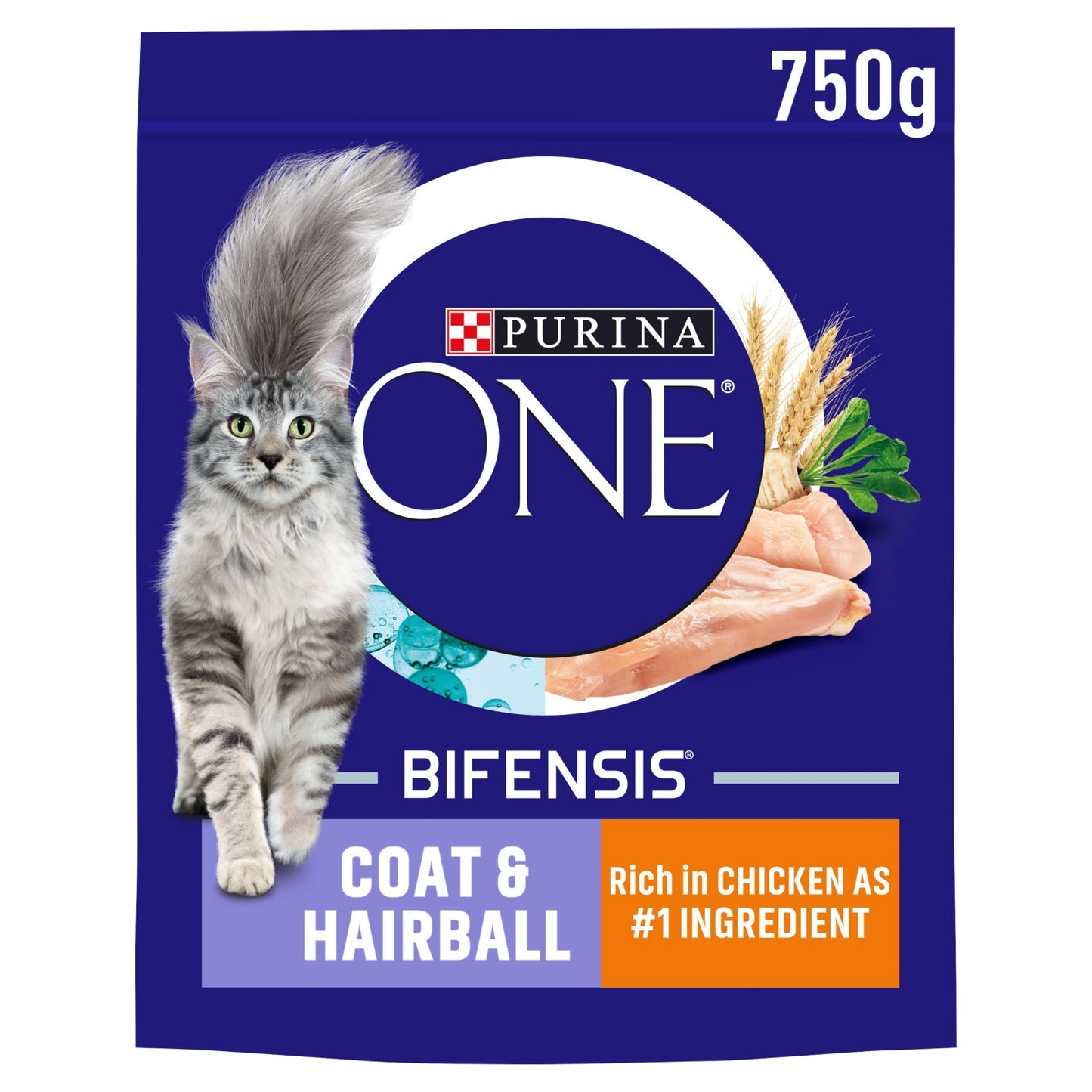 Purina ONE Coat and Hairball Chicken Dry Cat Food 750g