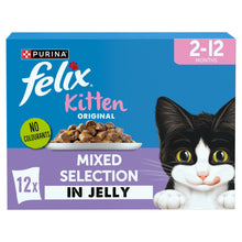 Felix Original Kitten Mixed Selection in Jelly Wet Cat Food 12x85g