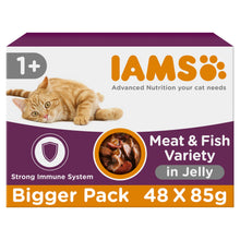 Iams Advanced Nutrition Adult Wet Cat Food Meat & Fish Variety Mix in Jelly 48 x 85g
