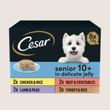 Cesar Senior Wet Dog Food Trays Meat in Delicate Jelly No Artificial Additives 8 x 150g