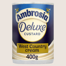 Ambrosia Deluxe Custard Dessert Can No Artificial Additives 400g