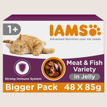 Iams Advanced Nutrition Adult Wet Cat Food Meat & Fish Variety Mix in Jelly Complete Nutrition 48 x 85g