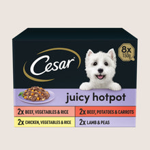Cesar Juicy Hotpot Adult Wet Dog Food Trays Mixed in Gravy No Artificial Additives 8 x 150g