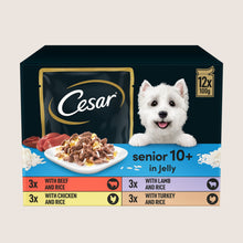 Cesar Senior Wet Dog Food Pouches Mixed Selection in Jelly No Artificial Additives 12 x 100g