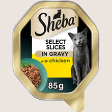 Sheba Select Slices Adult Wet Cat Food with Chicken in Gravy Tray With Taurine 85g
