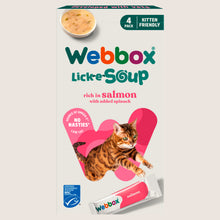 Webbox Lick-e-Soup Rich in Salmon Nutritionally Complete 4 x 20g