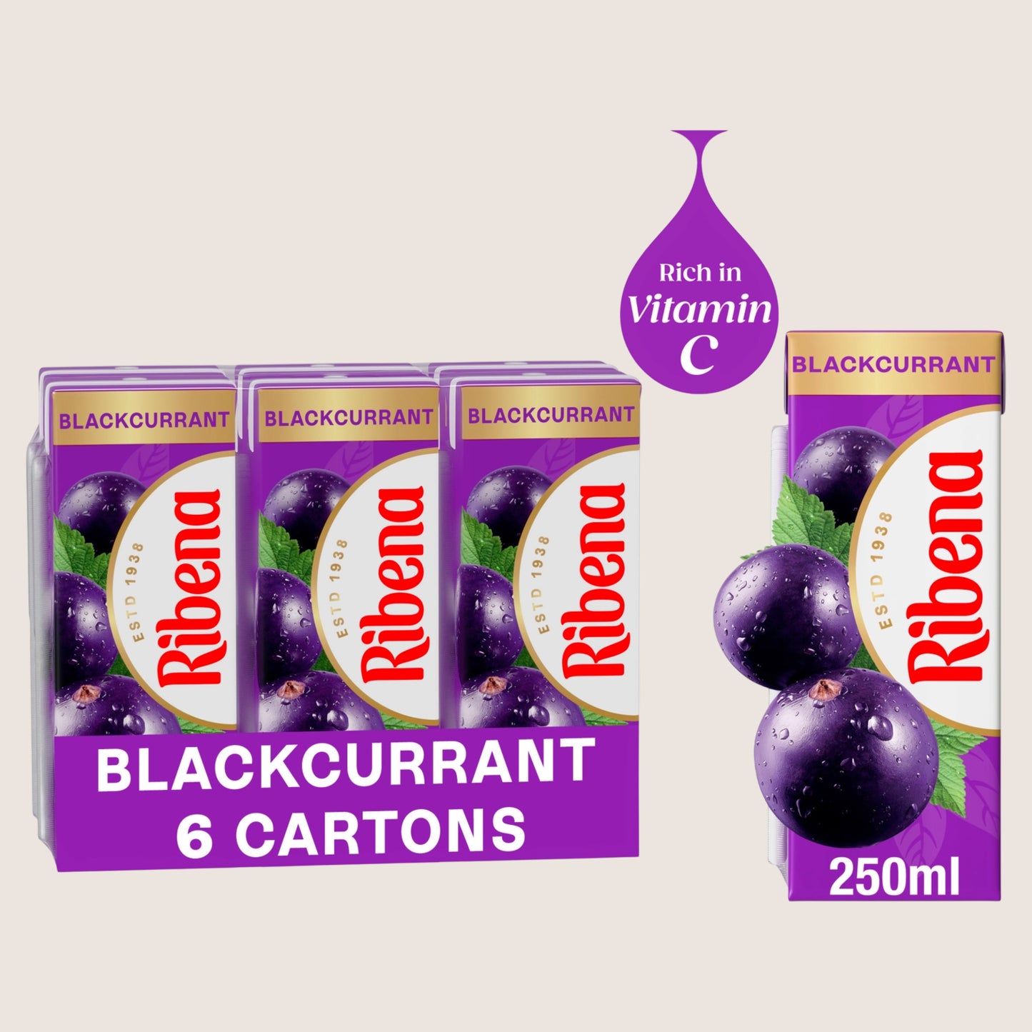 Ribena Blackcurrant Juice Drink Cartons Refreshing 6x250ml