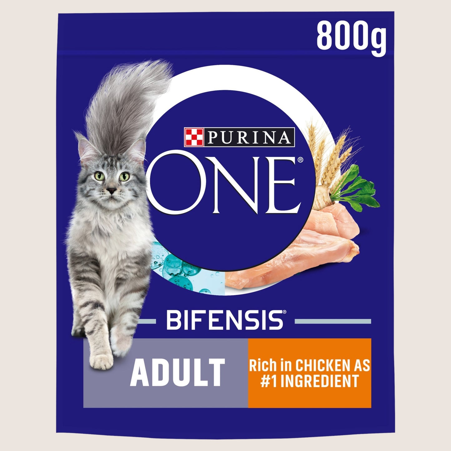 Purina ONE Chicken Dry Cat Food With Omega Oils 800g