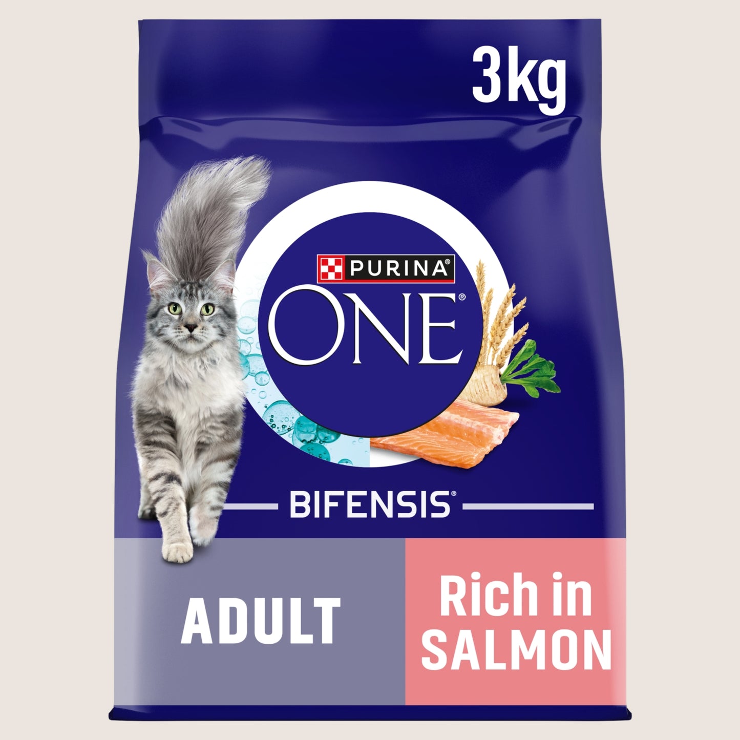 Purina ONE Salmon Dry Cat Food With Omega Oils 3kg