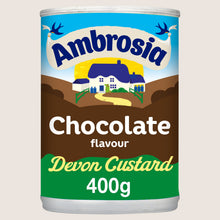 Ambrosia Chocolate Custard Dessert Can No Artificial Additives 400g