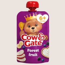 Cow & Gate Fruit Pouch Forest Fruit Baby Food Snack, 6+ Months 6 Months Plus 100g
