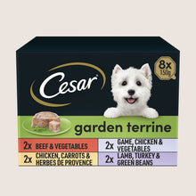 Cesar Garden Terrine Wet Dog Food Tray Mixed in Loaf No Artificial Additives 8 x 150g