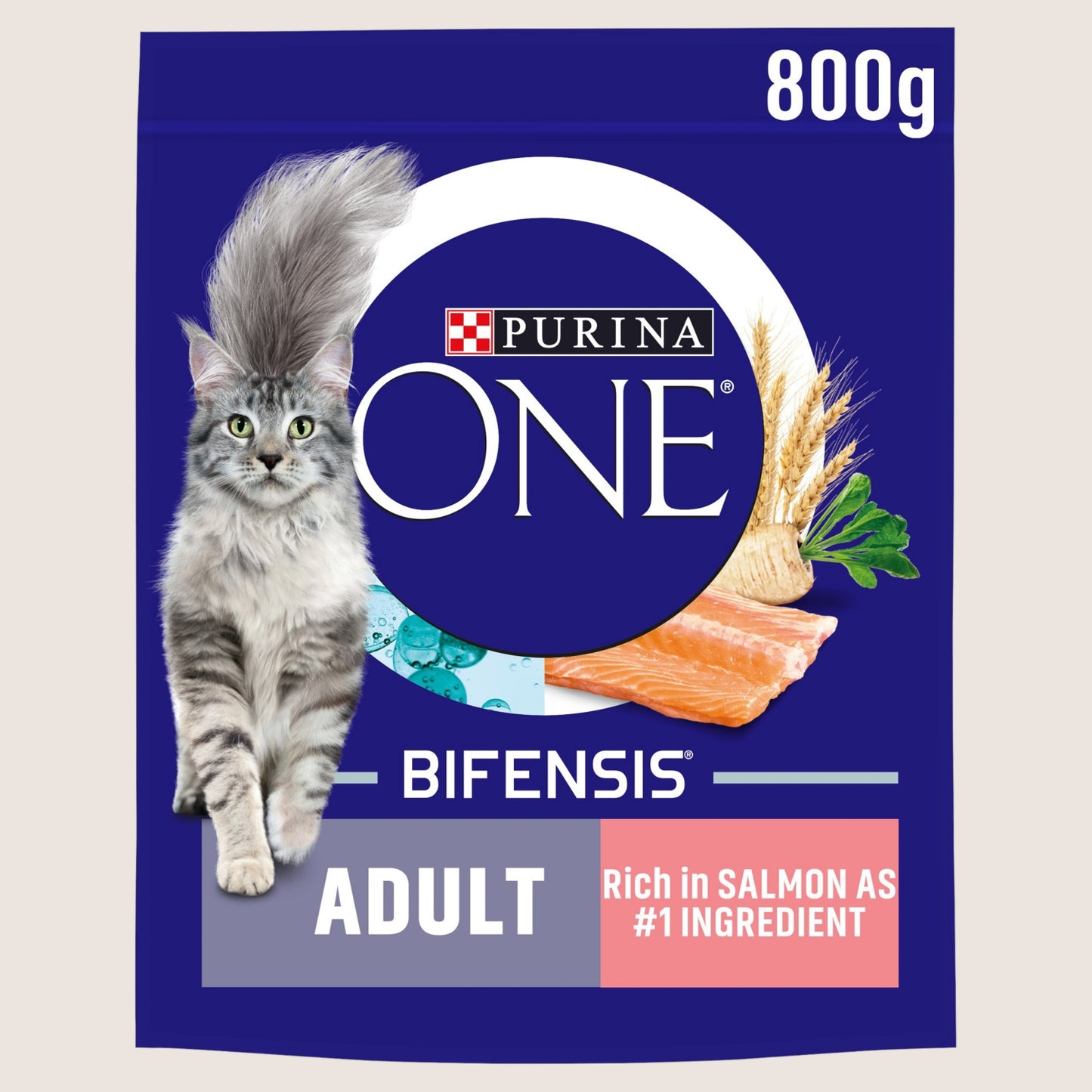 Purina ONE Salmon Dry Cat Food With Omega Oils 800g