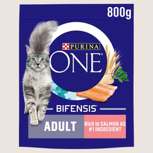 Purina ONE Salmon Dry Cat Food With Omega Oils 800g