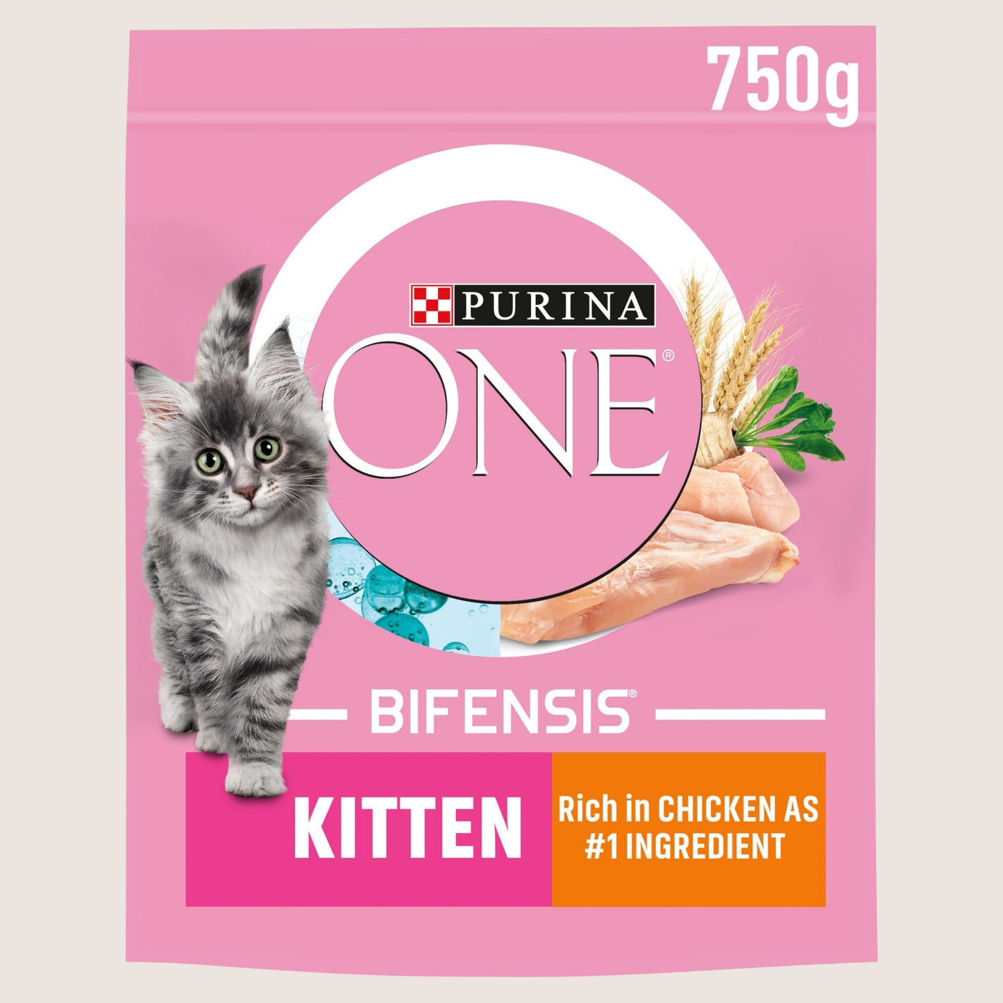 Purina ONE Kitten Chicken Dry Cat Food For Growing Pets 750g
