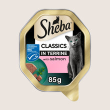 Sheba Classics Wet Cat Food Tray Salmon in Terrine Complete Nutrition 85g