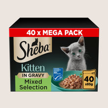 Sheba Mixed Selection Kitten Wet Cat Food in Gravy Pouch For Growing Pets 40 x 85g