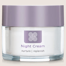 Healthspan Replenish Night Cream
