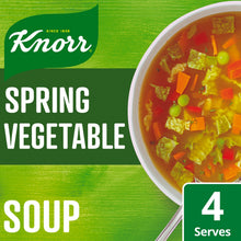 Knorr Dry Packet Soup Florida Spring Vegetable Vegan Friendly 48 g