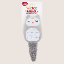 Webbox Pounce Wildlife Kicker Nutritionally Complete
