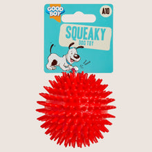 Good Boy Squeaky Dog Toy