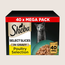 Sheba Select Slices Adult Wet Cat Food Pouch Poultry Selection in Gravy Mega-Pack With Taurine 40 x 85g