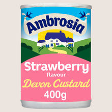 Ambrosia Strawberry Custard Dessert Can No Artificial Additives 400g