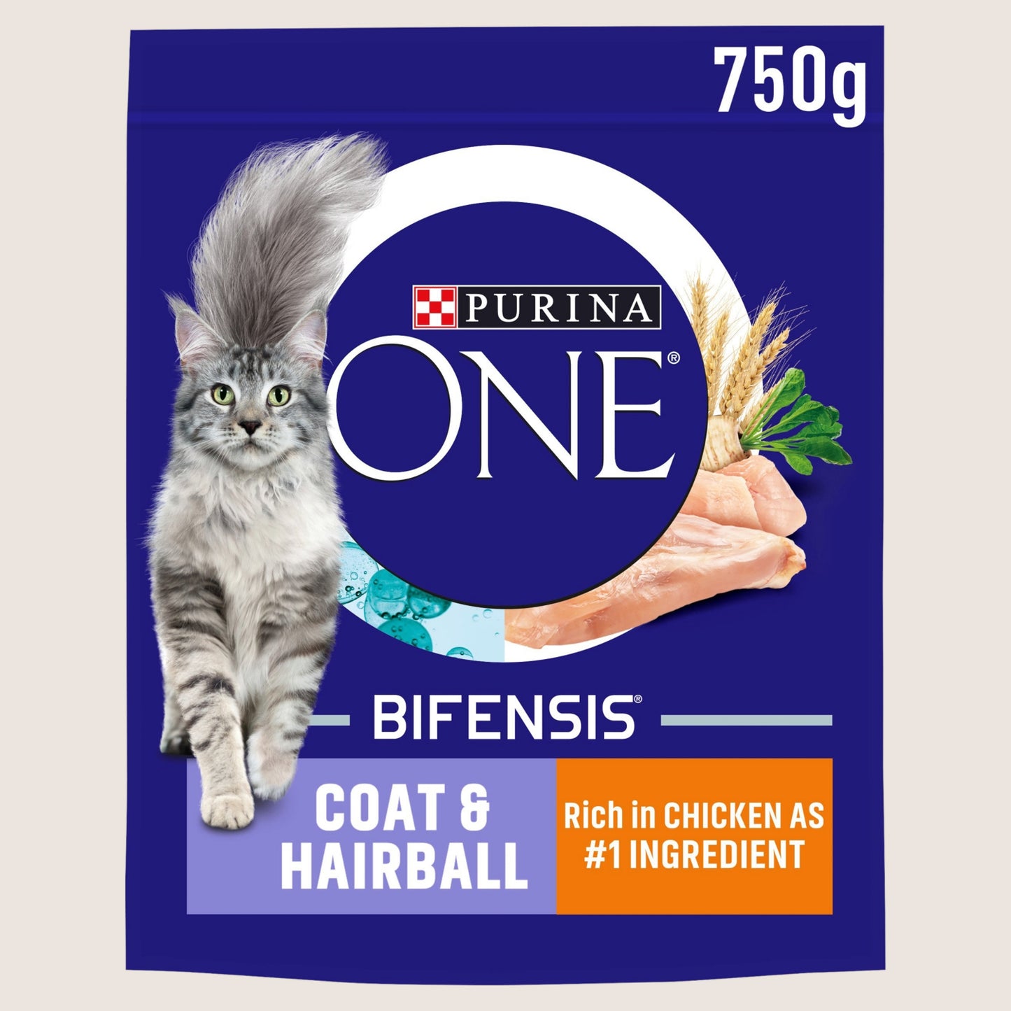 Purina ONE Coat and Hairball Chicken Dry Cat Food 750g
