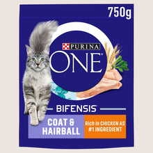 Purina ONE Coat and Hairball Chicken Dry Cat Food 750g